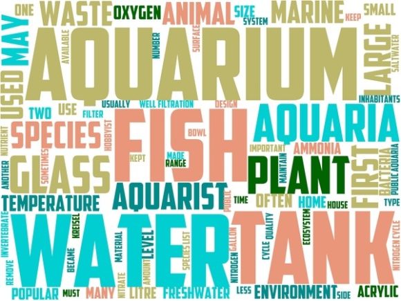 Aquarium Wordart Sublimation: A Creative Design Tool