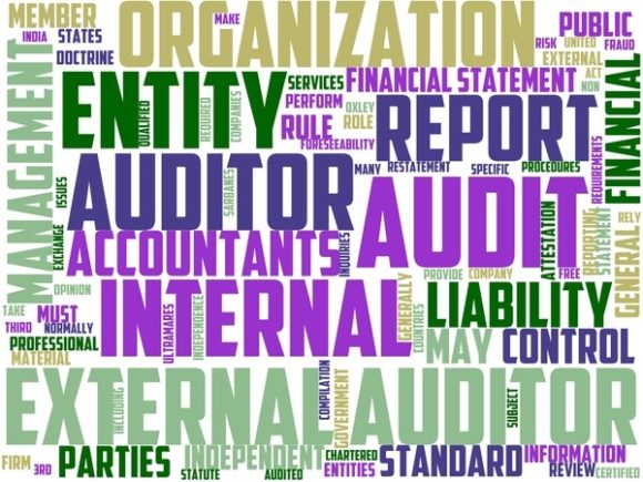 Audit Manager Wordart Book Cover – A Beautiful Wordcloud for Creative Expression