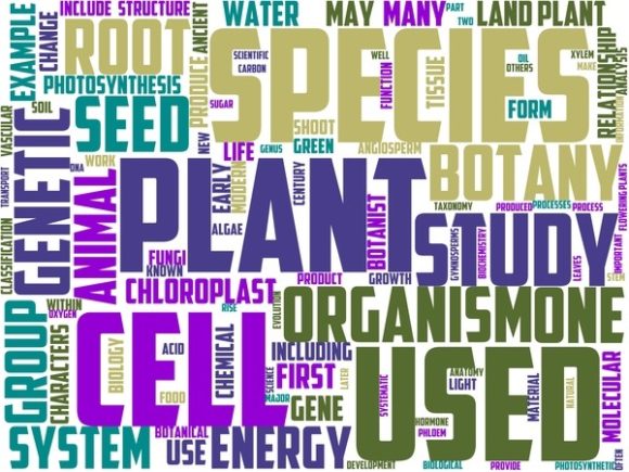 Botanist Wordart Banner: A Versatile Design Tool for Creative Expression